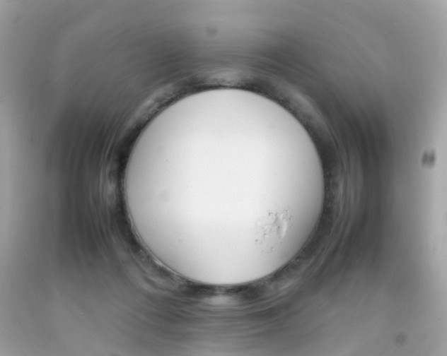X0000092090312200709121131