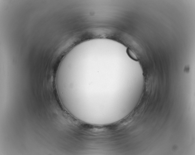 X0000092090314200709121131