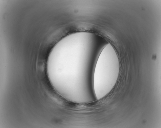 X0000092090315200709121131