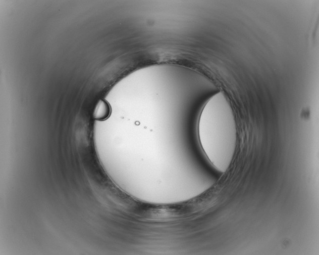 X0000092090316200709121131