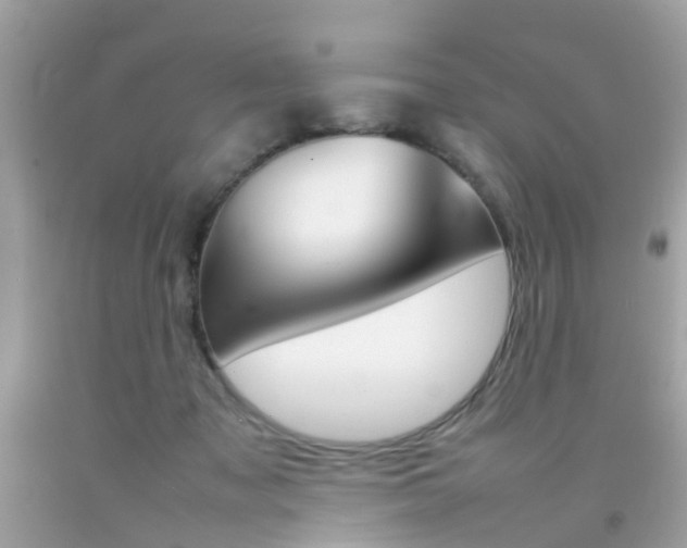 X0000092090317200709121131