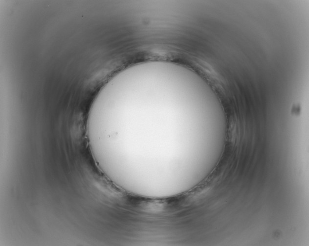 X0000092090318200709121131