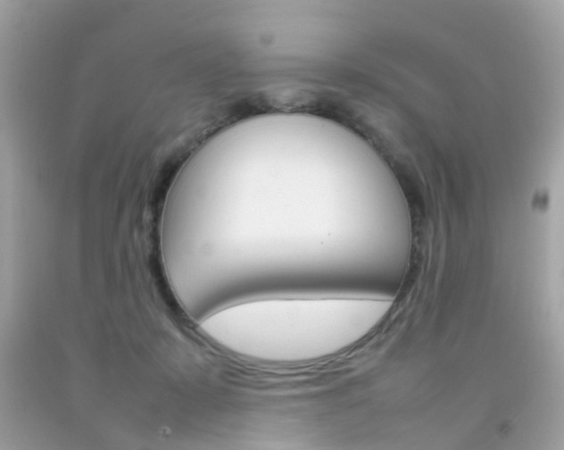 X0000092090319200709121131