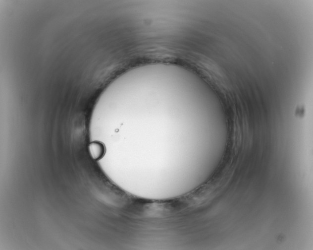 X0000092090320200709121131