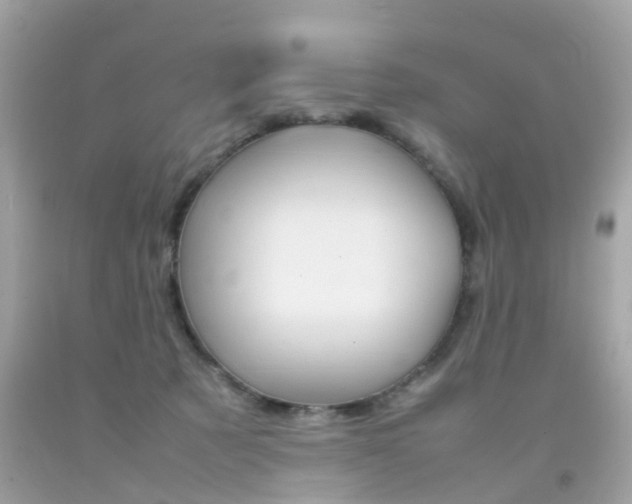 X0000092090321200709121131