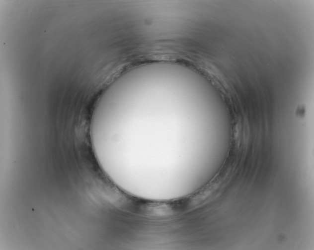 X0000092090322200709121131