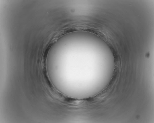 X0000092090323200709121131