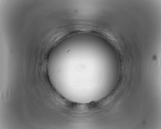 X0000092090325200709121131