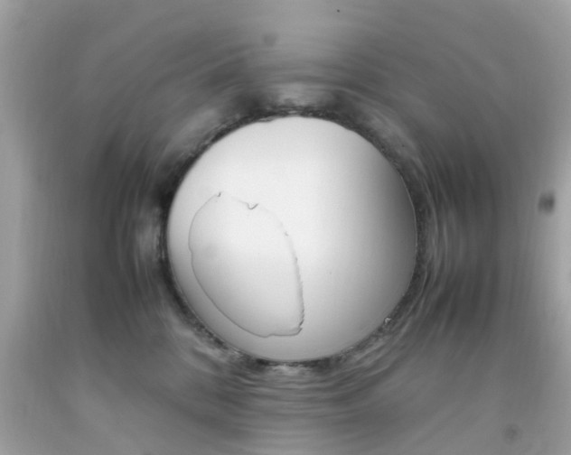 X0000092090328200709121131