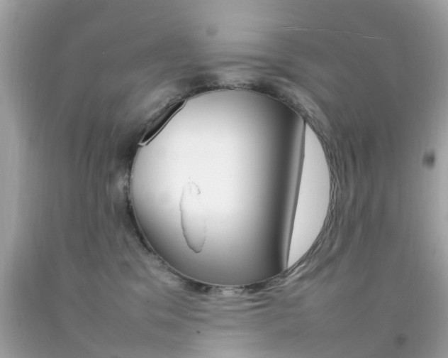 X0000092090329200709121131