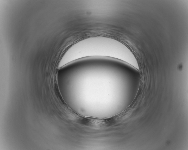 X0000092090333200709121131