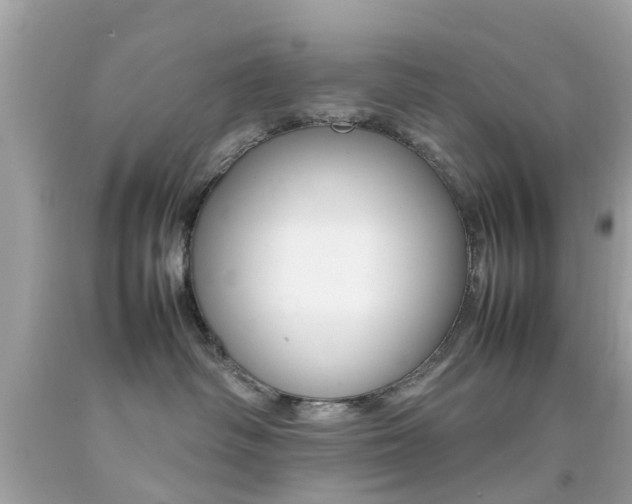 X0000092090334200709121131