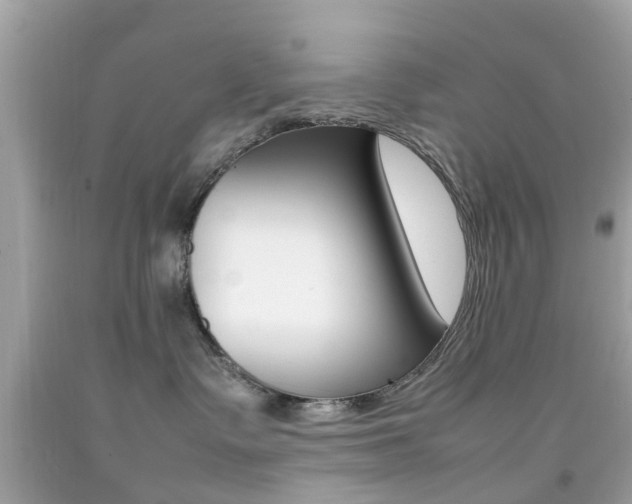 X0000092090335200709121131