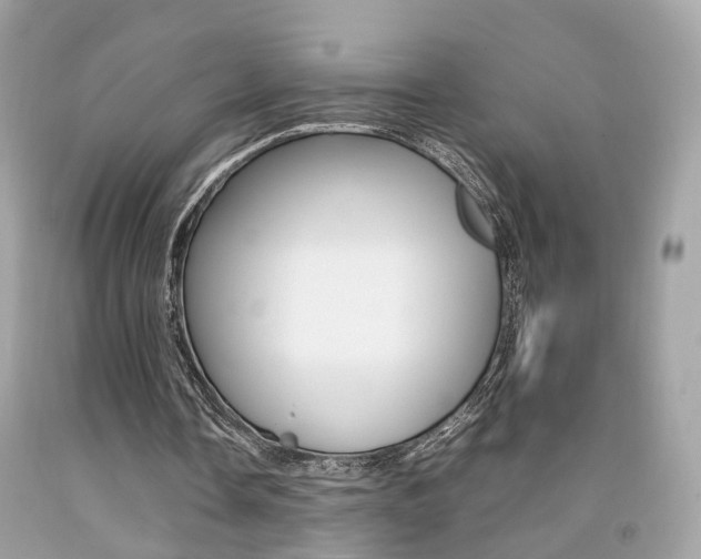 X0000092090338200709121130