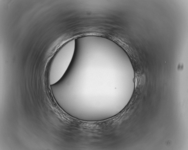 X0000092090339200709121130