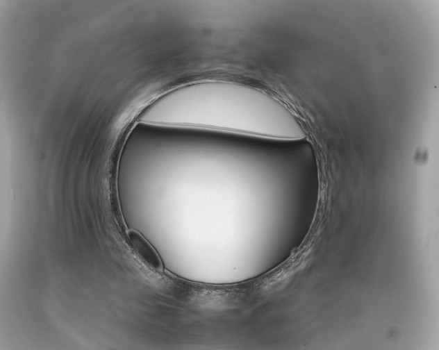 X0000092090341200709121130