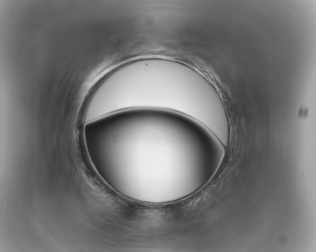 X0000092090344200709121130