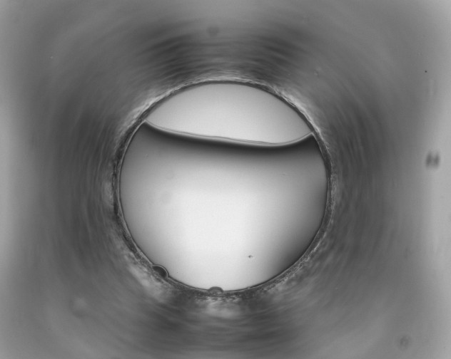 X0000092090345200709121130