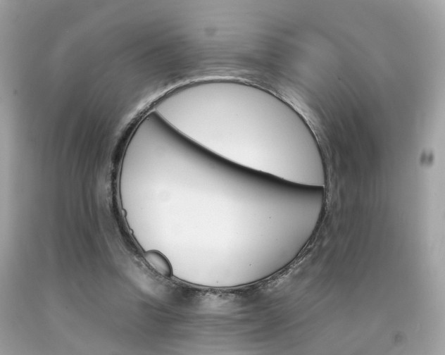 X0000092090346200709121130