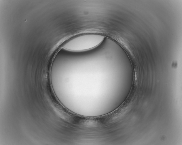 X0000092090348200709121130