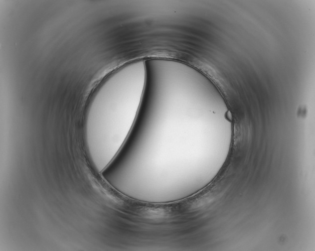 X0000092090349200709121130