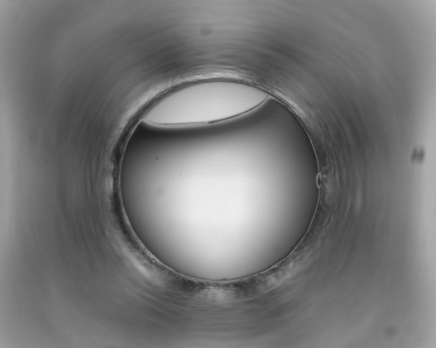 X0000092090350200709121130
