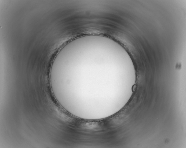 X0000092090353200709121130