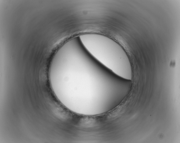 X0000092090354200709121130