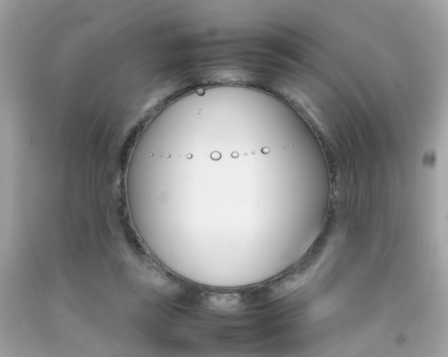 X0000092090355200709121130