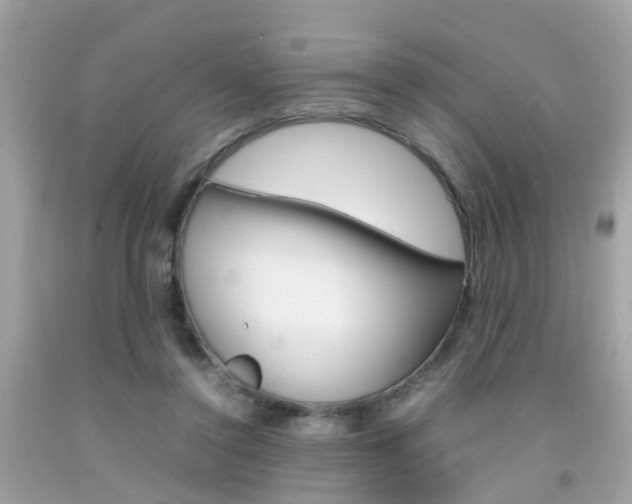 X0000092090356200709121130