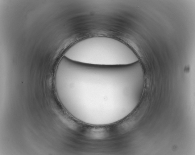 X0000092090357200709121130