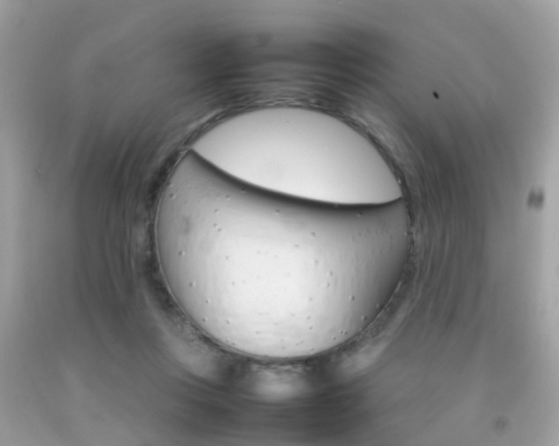 X0000092090359200709121130