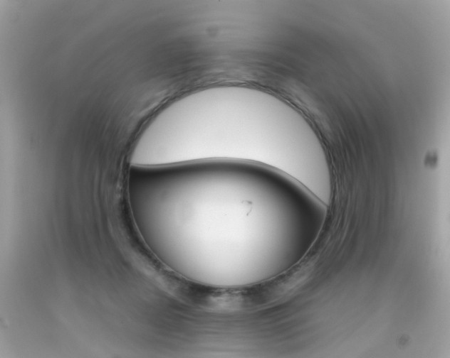 X0000092090362200709121131