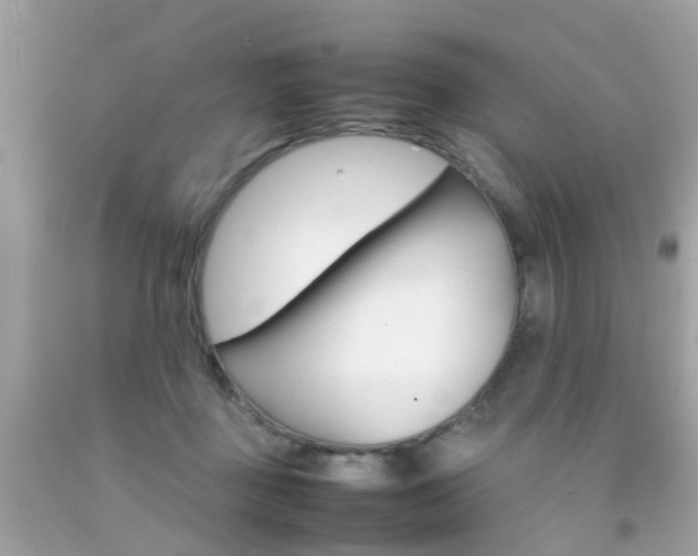 X0000092090363200709121131