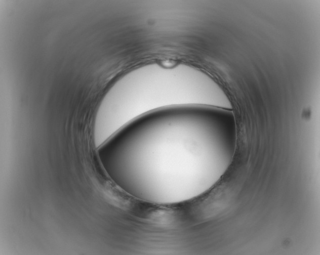 X0000092090364200709121131