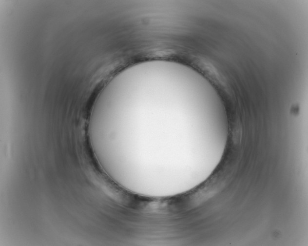 X0000092090366200709121131
