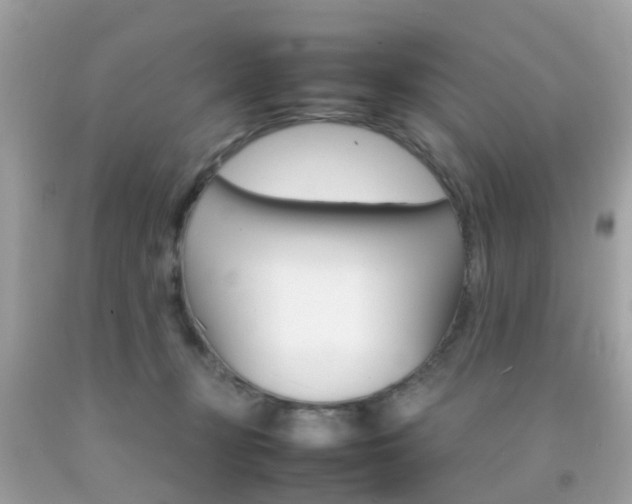 X0000092090367200709121131