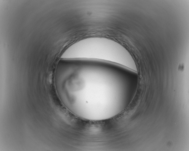 X0000092090368200709121131