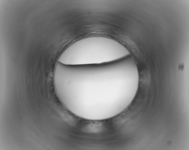 X0000092090369200709121131