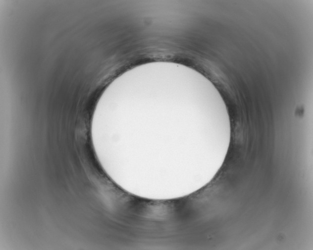 X0000092090370200709121131