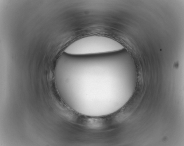 X0000092090371200709121131