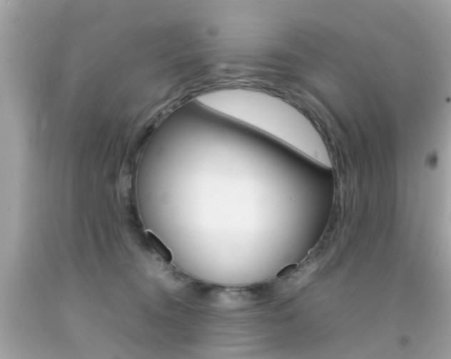 X0000092090372200709121131