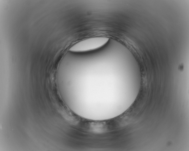 X0000092090373200709121131