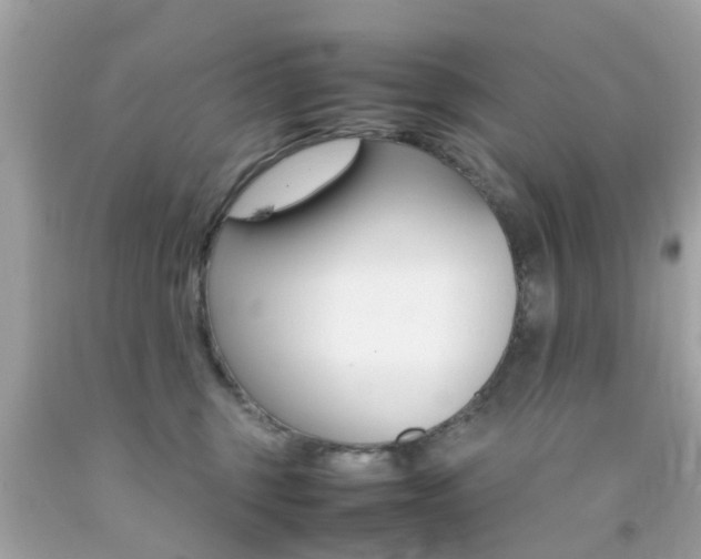 X0000092090375200709121131