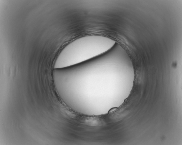 X0000092090377200709121131