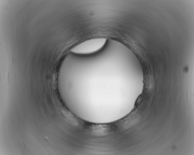 X0000092090378200709121131