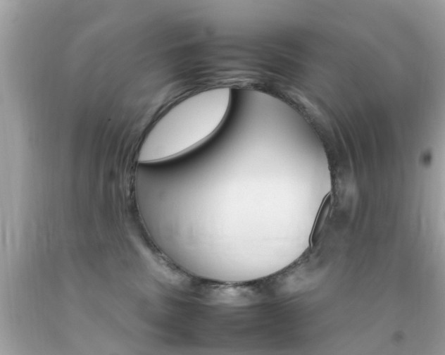 X0000092090379200709121131