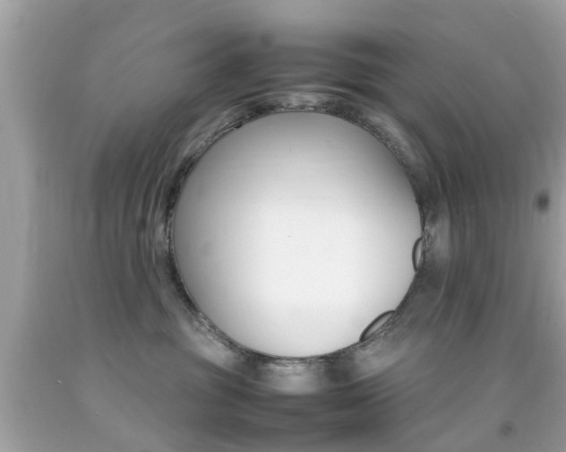 X0000092090381200709121131