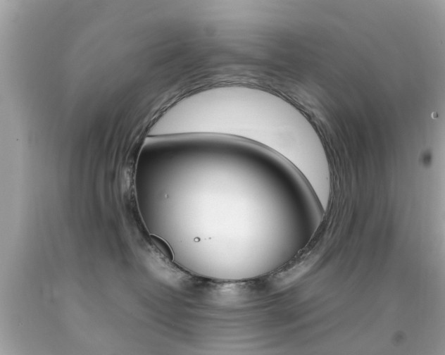 X0000092090382200709121131