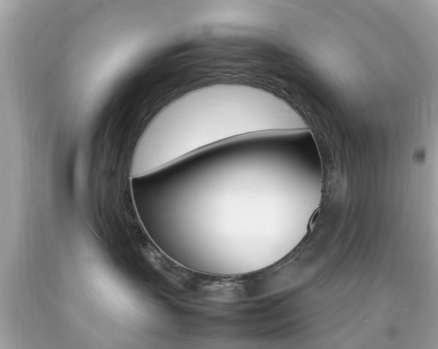 X0000092090383200709121131